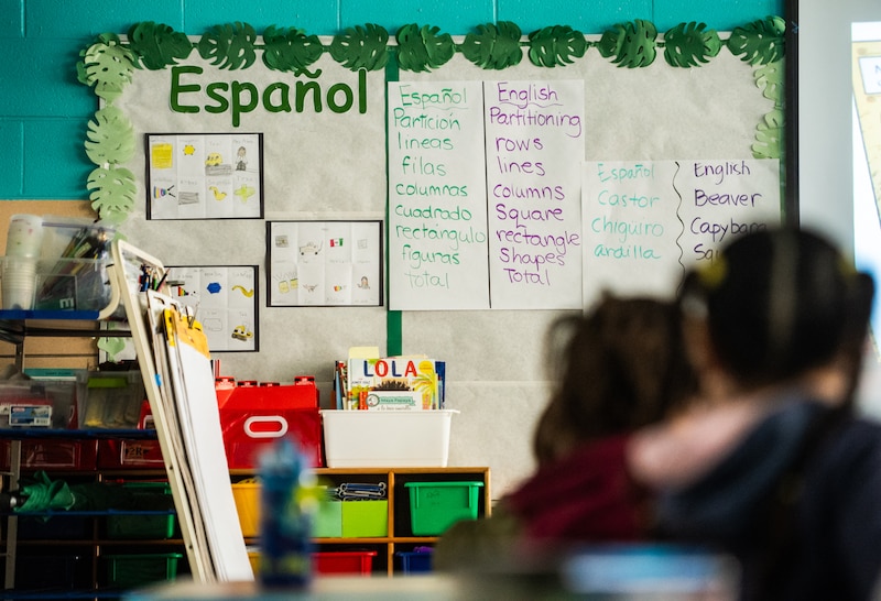articles for bilingual education
